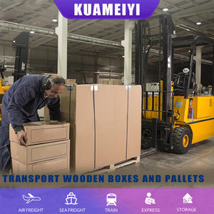 Contenitore di trasporto aereo affidabile porta a porta per trasporto Container FCL LCL spedizione speciale Congo, spedizioniere Zambia - Product Image 4