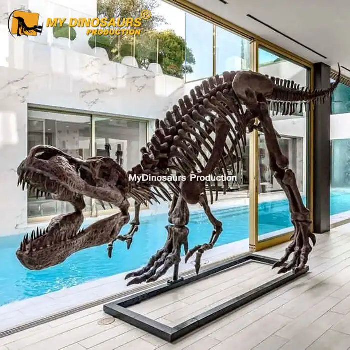 私恐竜DS134家の装飾高品質の恐竜化石t-rexスケルトン