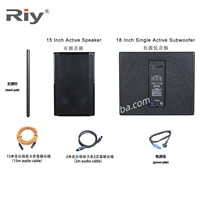 RD-15A Enceintes actives 15 pouces Son Surround Entrée BT/USB Intégrées 8 ohms 300W*2 Amplificateur AC 110V/220V Idéales pour les spectacles en direct