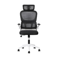 Chaise de bureau minimaliste pivotante avec vérin à gaz de classe 2, dossier haut, support lombaire, siège confortable en maille et roulettes