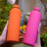 Gourdes D'Eau Chic Isothermes Double Paroi pour Sport, Bouteille Isotherme en Acier Inoxydable de 500ml, Tasse Réutilisable Personnalisable