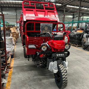 รถสามล้อบรรทุกน้ำมันเบนซิน 200 ซีซี รุ่น XinWang Q6 ความสามารถในการบรรทุกสูง 3 ล้อ สำหรับงานขนส่งทรายและหินในเหมือง - Product Image 2