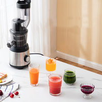Extracteur de jus électrique Big Mouth, machine en acier inoxydable, jus de fruits et légumes, jus d'orange, presse à froid, extracteur de jus lent à mastication