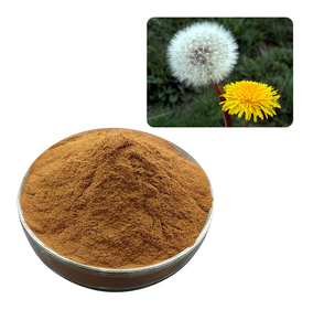 Extrait de pissenlit sauvage en poudre Taraxacum Officinale, ingrédient végétal botanique naturel, extrait de racine, complément alimentaire de qualité alimentaire - Product Image 1