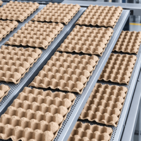 Ligne de production automatique de machines à fabriquer des barquettes à œufs / des boîtes à œufs, capacité de 2000 à 7000 pièces/heure