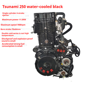 Motor de Motocicleta [Nuevo Tsunami] 250 con Doble Refrigeración para Triciclo, Motor Zongshen // Motor para Scooter - Product Image 1