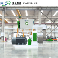 RICHI-máquina de fabricación de Pellet de madera, serrín, carbón, polvo, 6/8/10/12mm, gran oferta