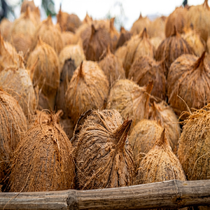 Nueva Temporada de Coco Seco Premium de la India, en Rodajas, Copra Madura Natural, Proceso de Secado FD, Sabor Dulce, en Condiciones Controladas, Exportación a Granel - Product Image 3