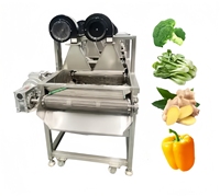Automatische fruit- en groenteverwerkingsapparatuur, was- en blaasdroging, PLC-besturing, elektrische/gasverwarming, SUS304 materiaal