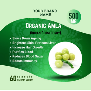 Cápsulas de extracto de hierbas orgánicas de Amla de alta calidad, soporte Natural para un sistema nervioso saludable, directo de la India, Etiqueta Privada - Product Image 2