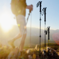 Benutzer definierte 3-teilige Teleskop-Trekking-Wanders töcke Trekking stöcke Leichte Kohlefaser-Trekking stöcke
