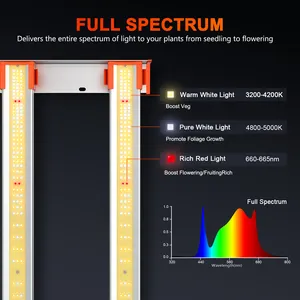 300w hydroponic ספקטרום מלא ledgrowlight 4 בר עבור הוביל לגדול אור חקלאי עכביש אור g3000