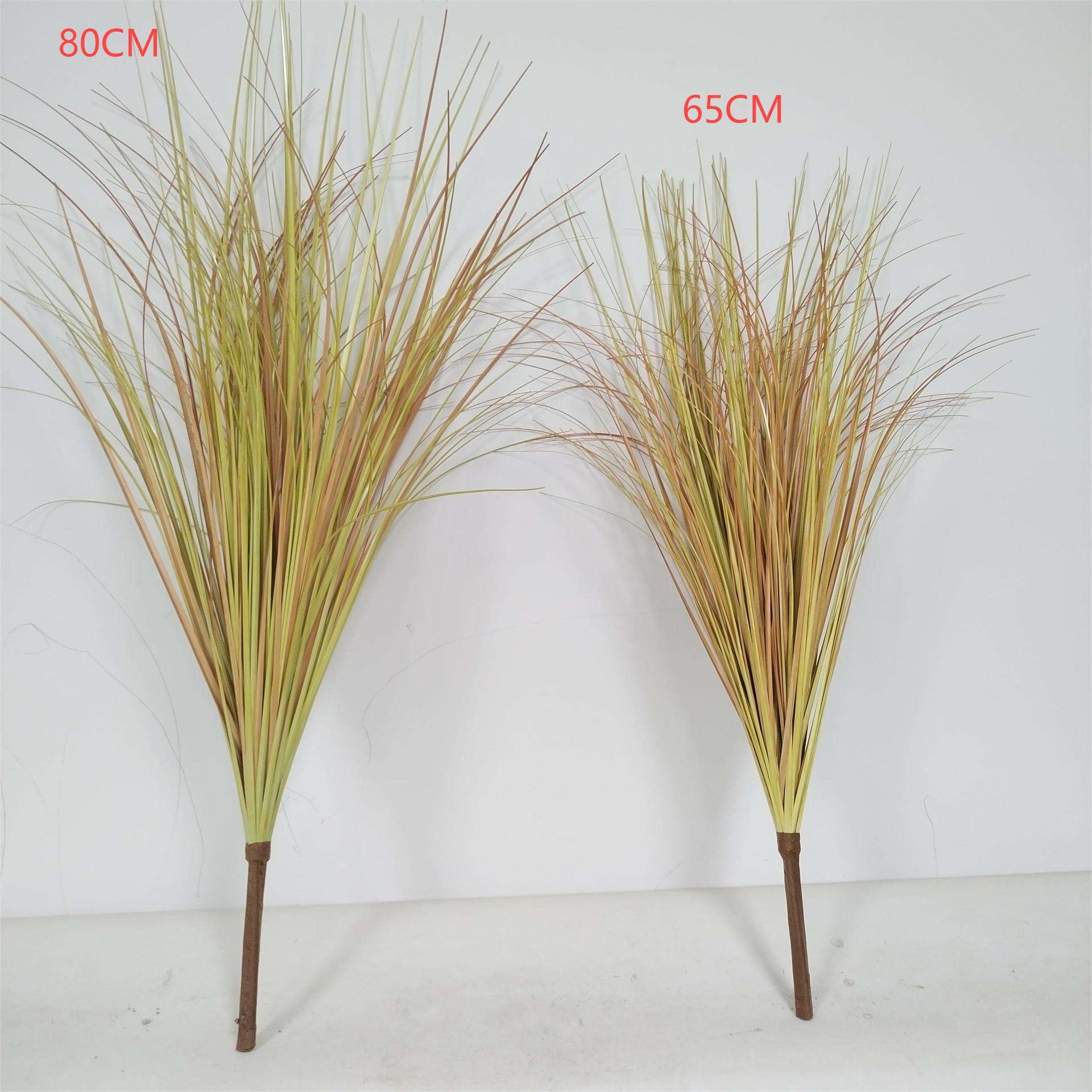 Pure grass beam autumn color