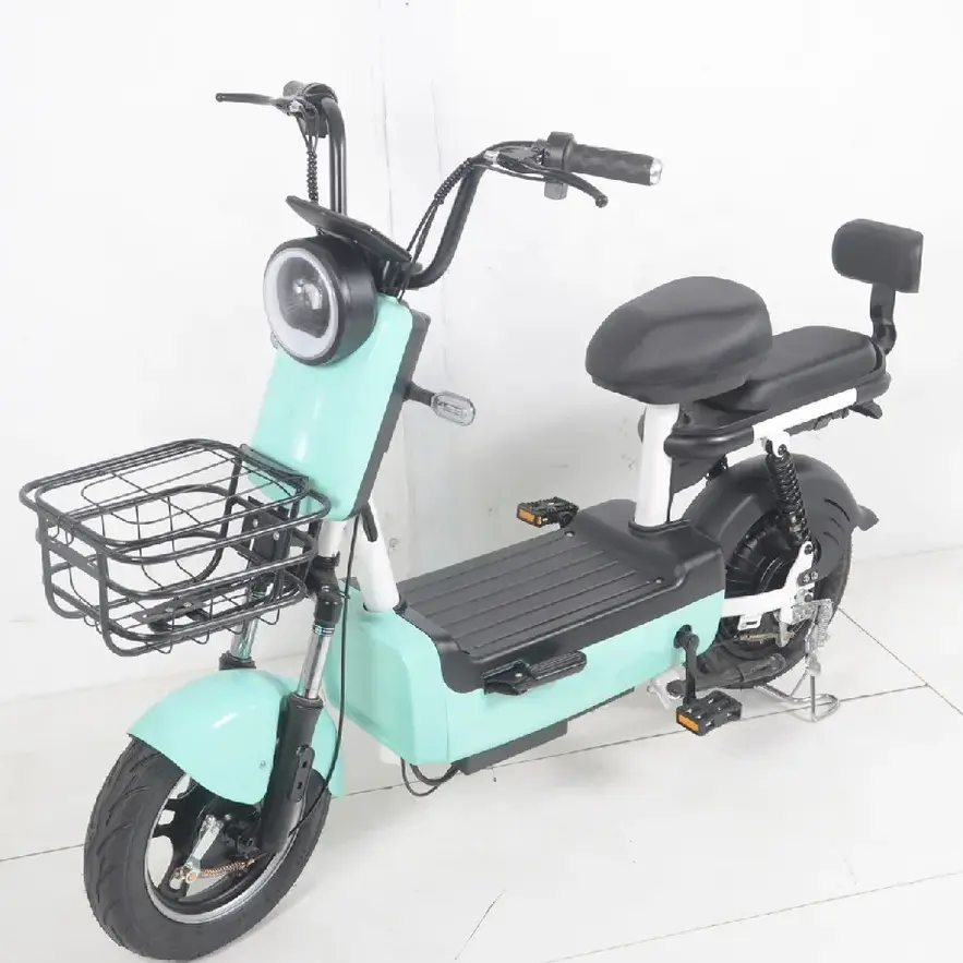 China 350W 48V Electric City Bike for 2 Person 14 inch Portable Electric Bicycle Bike E bike