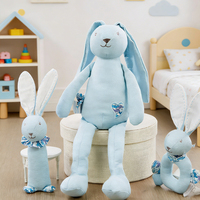 Peluche Lapin Mignon en Gros OEM, Rembourrage Coton PP Doux, Peluches Personnalisables, Cadeaux d'Anniversaire Unisexe, Sous Vide