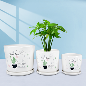 ชุดใหญ่โมเดิร์นแคคตัส <span class=keywords><strong>Happy</strong></span> <span class=keywords><strong>Day</strong></span> กระถางดอกไม้เซรามิกปลูกพืช - Product Image 4