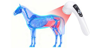 Produk rumah obat telinga anjing infeksi hewan peliharaan lampu Infrared terapi untuk nyeri hewan Arthritis kucing kuda klinis - Product Image 2