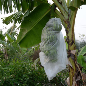 KOSITE Agriculture Ground Cover Fabric 100% Polypropylene Spunbond Nonwoven <b>Medium</b> Weight Outdoor Use - Product Image 3