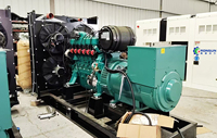 Groupe électrogène au gaz naturel Weichai 250 kW WP13 400 V certifié CE ISO9001