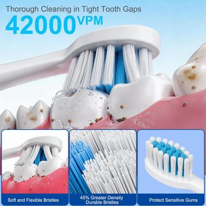 Cepillo de Dientes Eléctrico Portátil Recargable por USB, Ultrasónico, el Mejor para el Cuidado Bucal en Casa, Personalizado, Automático e Impermeable - Product Image 5