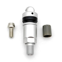 Tige de valve TPMS en aluminium pour Tesla Model 3/Model Y/Model S/X Filetage M10*1, Ajustement OEM, Étanche KA-523/6-284