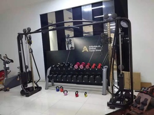 Máquina de Ejercicio para Gimnasio en Casa, Entrenador Funcional Montado en la Pared con Sistema de Cables, Entrenador Funcional LZX-2050A, Entrenador Funcional LZX-205 - Product Image 6