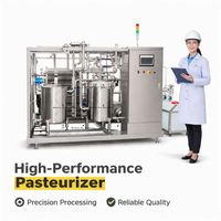 Pasteurisateur à plaques sur mesure 5T 10T 20T en acier inoxydable SU304 pour lait frais, jus et vin, automatique