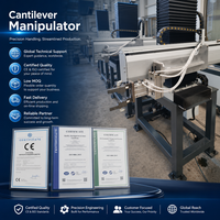 Vente directe usine : Manipulateur cantilever à haute précision de positionnement pour le chargement et le déchargement, optimisant l'espace au sol