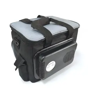 Портативная сумка-холодильник 15L DC12V, дорожные электрические крутые сумки для автомобиля, грузовика, кемпинга