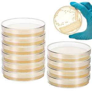 Placa Petri de 90x15mm estéril de plástico de laboratorio con agar de dextrosa de patata Placa de Petri de 9cm - Product Image 1