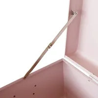 Pink Decorative Metal Storage Trunk Box with Bright Gold Metal Lock Accessories