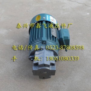 Unidad de Motor de Bomba de Aceite de Engranajes Cicloides BB-B16NJZ-1 B20NJZ B25NJZ B32NJZ con Bombas Hidráulicas de Eje Interno - Product Image 1