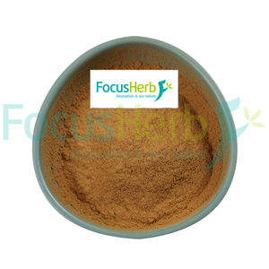 สารสกัดจากชิซานดรา ไชนีนซิส FocusHerb CAS 58546-54-6  2% ชิซานดริน - Product Image 3