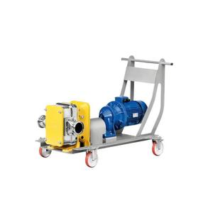 Bomba de Diafragma Techni-flow de Acero Inoxidable 316 y PVC Completa para Uso Industrial - Product Image 1