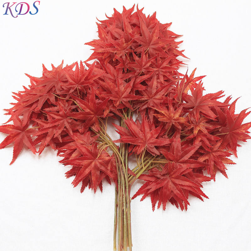 1-the maple leaf red