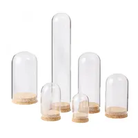 サプライヤー透明装飾チューブカバードームシリンダーガラスドーム花瓶コルクベースメーカー