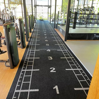 Césped Artificial para Gimnasio, Alfombra de Césped Sintético Resistente para Interiores y Exteriores, Tapete Deportivo para Gimnasio, Precio de Fábrica
