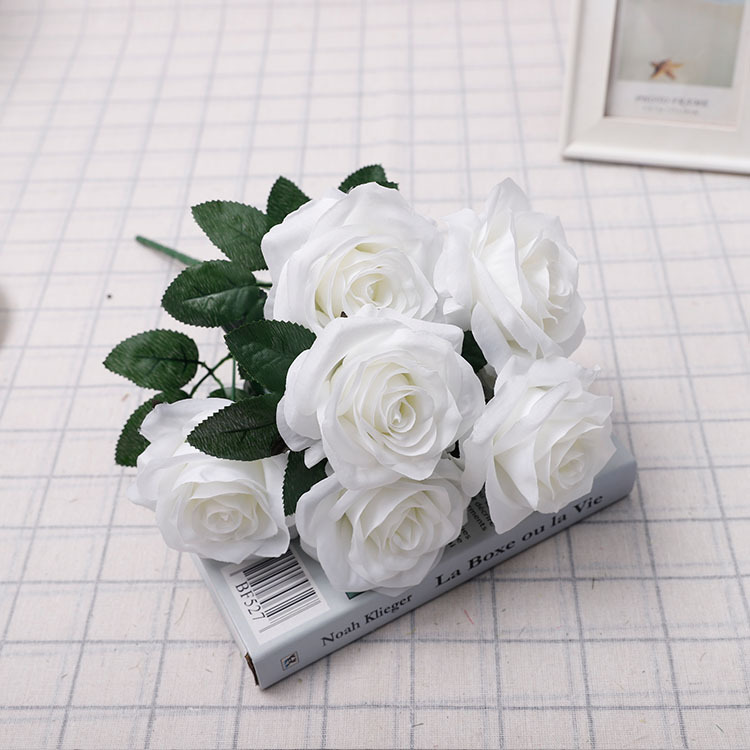 Blanc pur