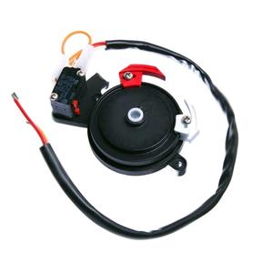 Interrupteur de fin de course Came 119RIBX-041 SPDT 24V 10A IP65, pièce de rechange industrielle pour moteur BX-243 - Product Image 1