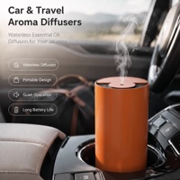 Diffuseur d'huiles essentielles portable HIITII pour voiture et maison avec technologie sans eau - Coffret cadeau