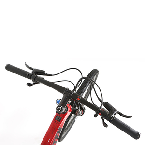 Bicicleta de Montaña de Fibra de Carbono TWITTER <span class=keywords><strong>Predator</strong></span> 29er de Alta Calidad, XC 13S, Una Velocidad, Freno de Disco, Bicicleta MTB de Carbono para Adultos - Product Image 3
