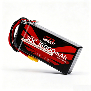 Paquete de Baterías de Iones de Litio LCO LIVH de 16000 mAh, 23.1 V, 369.6 Wh, 6S1P, Batería de Alto Drenaje para Vuelos, Solución de Batería Profesional - Product Image 1