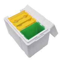 Matériel d'apiculture Vente en gros Haute qualité EPS Mini Queen Bee Boîte d'accouplement Ruches pour l'élevage des reines