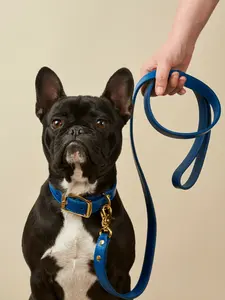Personal isierte Hunde leine Fabrik direkte Designer Muster Großhandel bunte PU große Hund Haustier Halsband Leder Leine für Hund