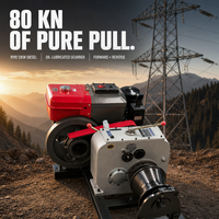 Treuil diesel à tambour unique 8 tonnes avec tête de cabestan pour levage de charges, érection de tours, contrôle de déplacement, pour la distribution en Asie du Sud