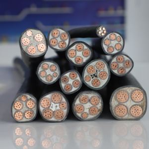 저전압 구리 2/3/4 코어 2.5mm 400mm Xlpe/pvc 절연 전원 케이블 4x4mm ² 구리 코어 PVC 피복 - Product Image 1