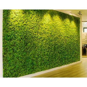 Planta Artificial para <span class=keywords><strong>Pared</strong></span>, Luz Navideña para Árbol Grande, Plantas Artificiales para Exteriores, <span class=keywords><strong>Pared</strong></span> Verde - Product Image 5