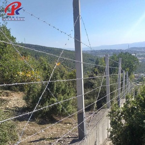 Fil de fer barbelé de haute qualité, haute résistance, <span class=keywords><strong>pas</strong></span> <span class=keywords><strong>cher</strong></span>, ne rouille <span class=keywords><strong>pas</strong></span>, protection murale, fil de fer barbelé en gros, clôture de ferme - Product Image 3