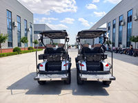 Tricycles électriques de transport de marchandises à énergie nouvelle, fabriqués en Chine, à batterie, 4+2 places, voiturette de golf 4x4