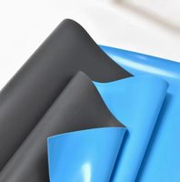 Membrane imperméable en PVC moderne et écologique |   Sous-couche de toiture durable non toxique Garantie de plus de 5 ans Bâtiment écologique PENNROOF